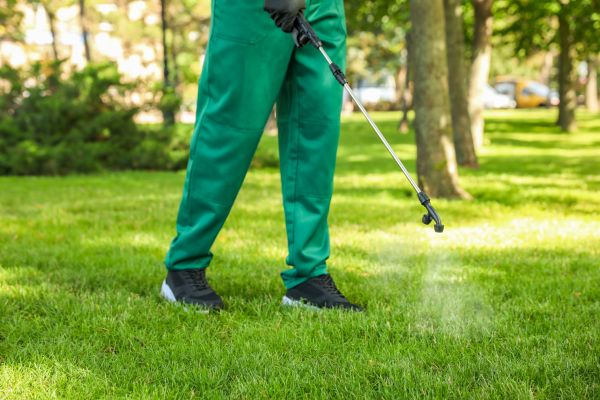Virginia Beach Lawn Treatment